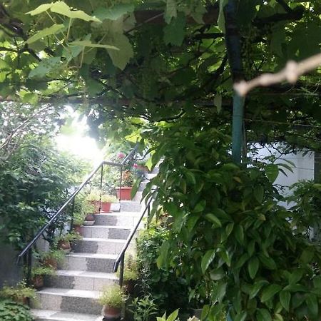 Свети Никола Hotel Sinemoretz Ngoại thất bức ảnh